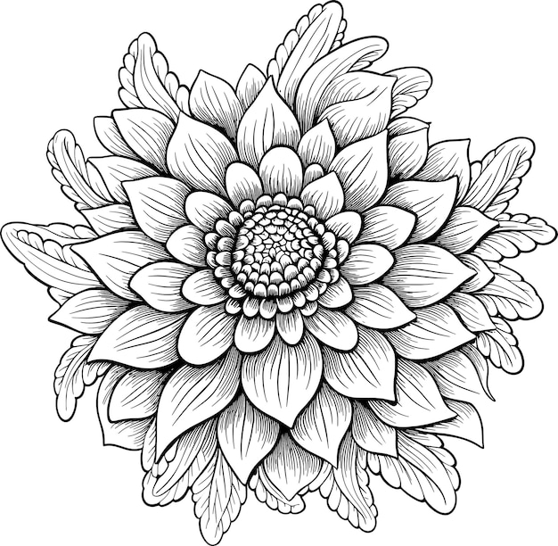 a drawing of a flower that has the word quot flower quot on it