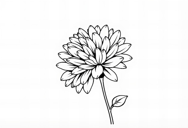 Photo a drawing of a flower with a leaf on it