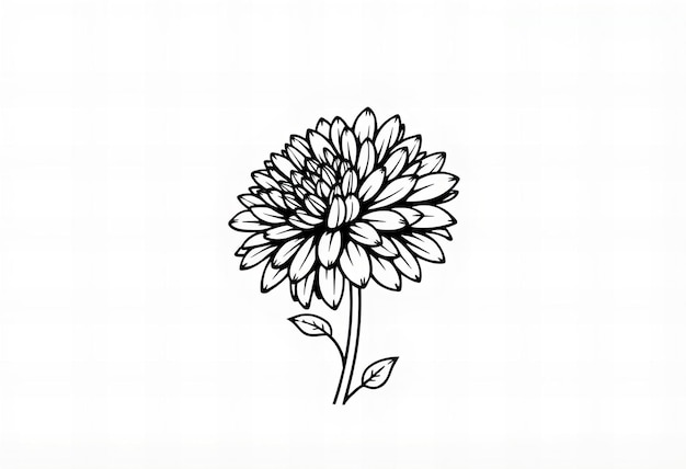 Photo a drawing of a flower with a leaf on it