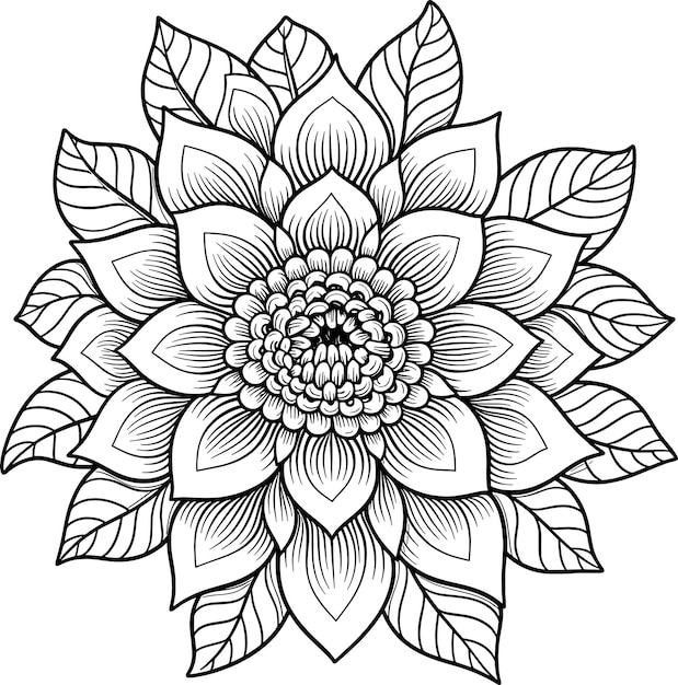 a drawing of a flower with leaves and leaves