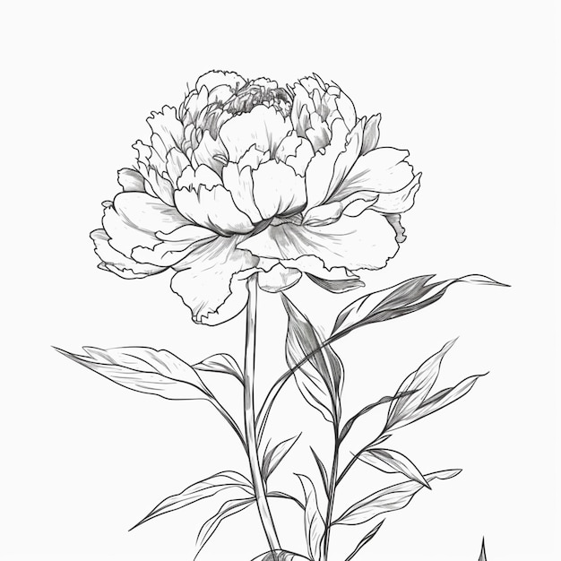 a drawing of a flower with leaves and a stem generative ai