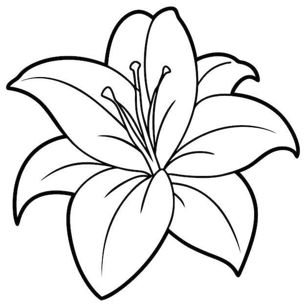 Photo a drawing of a flower with a white background