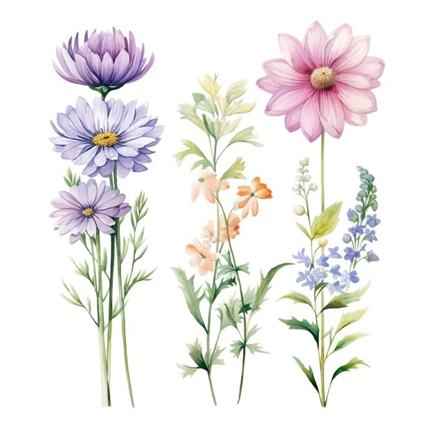 a drawing of flowers from the garden of flowers