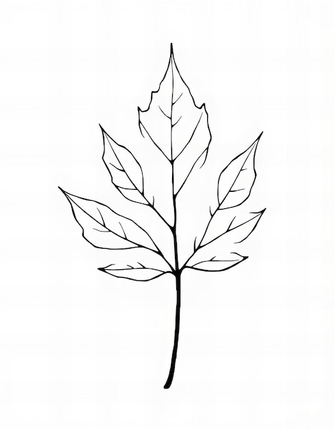 Photo a drawing of a leaf that has the word  leaf  on it