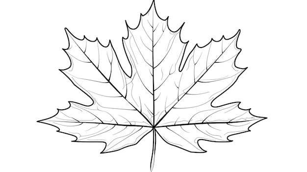 a drawing of a maple leaf with a cross on it