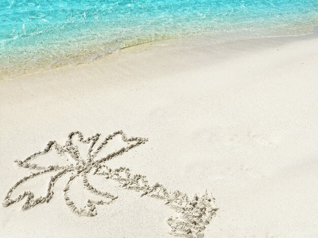 Drawing  "Palm-tree"  in the sand on a tropical island,  Maldives.