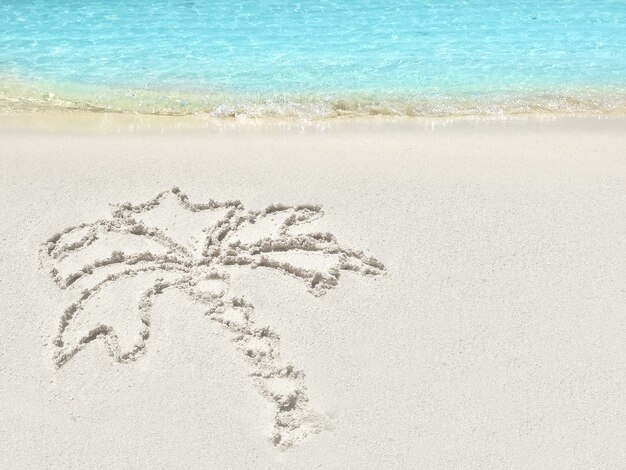 Drawing  "Palm-tree"  in the sand on a tropical island,  Maldives.