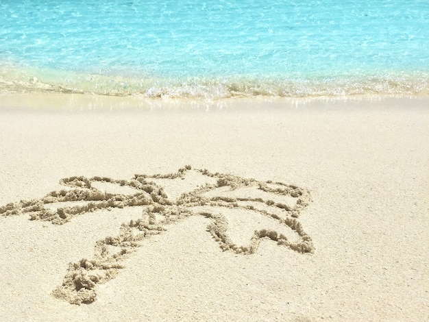 Drawing  "Palm-tree"  in the sand on a tropical island,  Maldives.