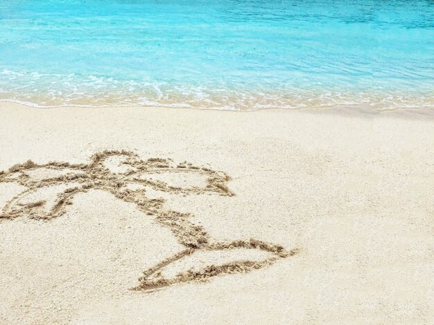 Drawing  "Palm-tree"  in the sand on a tropical island,  Maldives.