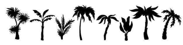 a drawing of palm trees with a white background with a black drawing of palm trees