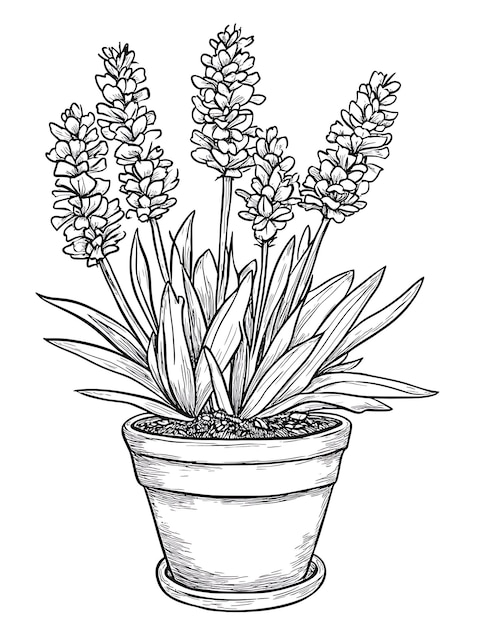 Photo a drawing of a potted plant with flowers in it