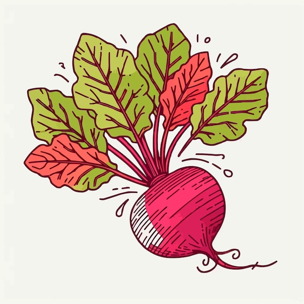 Photo a drawing of a radish with a red leaf on it