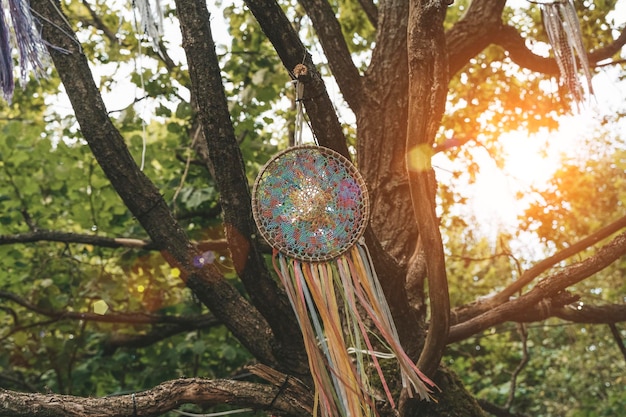 Dream catcher background Native American decoration and shamanic item on a tree in the forest Boho decor lifestyle concept