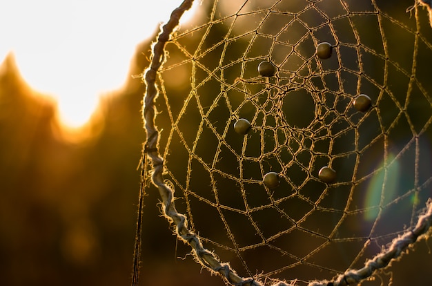 Dreamcatcher, ethnic, boho chic