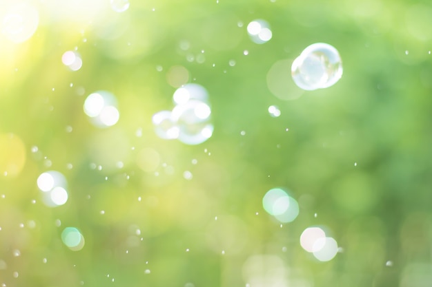 The Dreamy Abstract background from soap bubble in the air with nature defocused