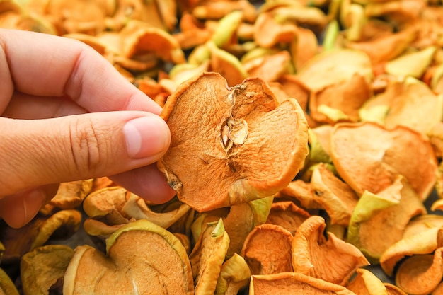 dried apple fruits production concept. drying apple slices