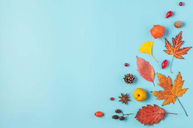 Dried autumn leaves isolated on blue