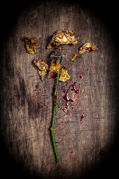 Dried broken and bloodied yellow flower on a wood