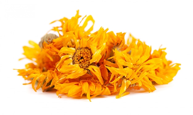 Dried calendula flowers isolated on white