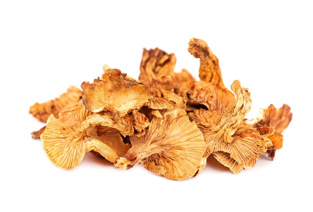 Dried chanterelle mushrooms, isolated on white background. Dried forest chanterelle mushrooms. Cantharellus cibarius. Close up.