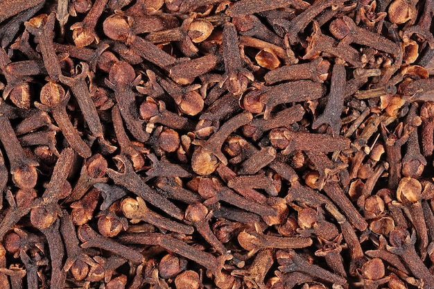 Dried clove background