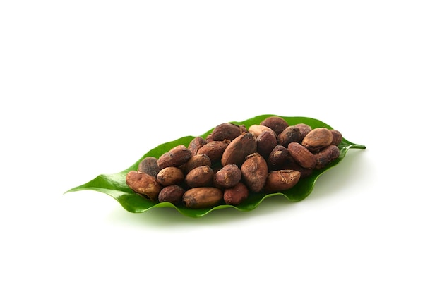 Dried cocoa beans on cocoa leaves