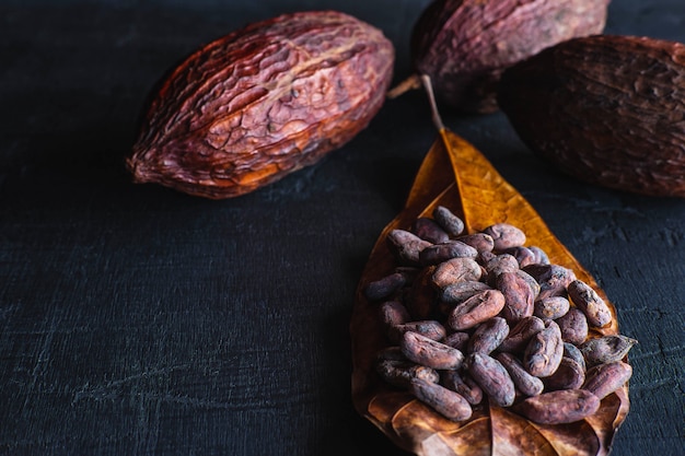 Dried cocoa beans and dried cocoa