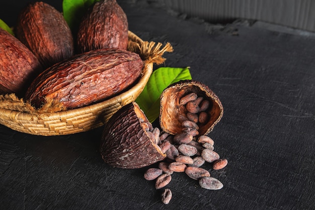 Dried cocoa and cocoa beans