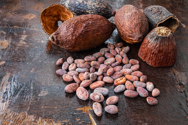 Dried cocoa and cocoa seeds on a wooden background