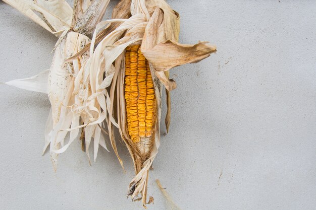 Dried corn with concrete background