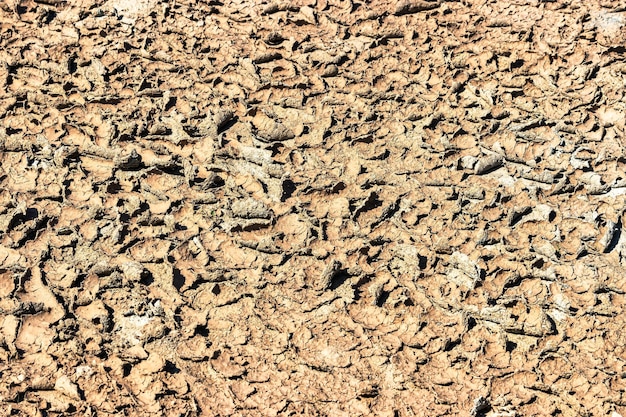 Dried cracked earth soil ground texture background Lack of fertile soil Drought Harvest problems