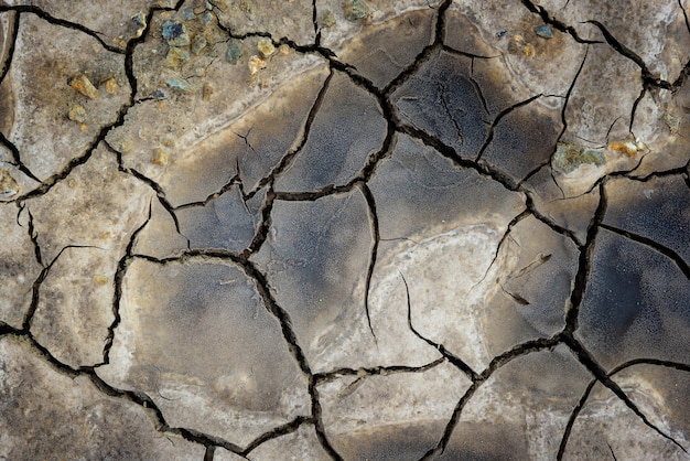 Dried cracked earth soil ground texture background. Mosaic pattern of sunny dried earth so