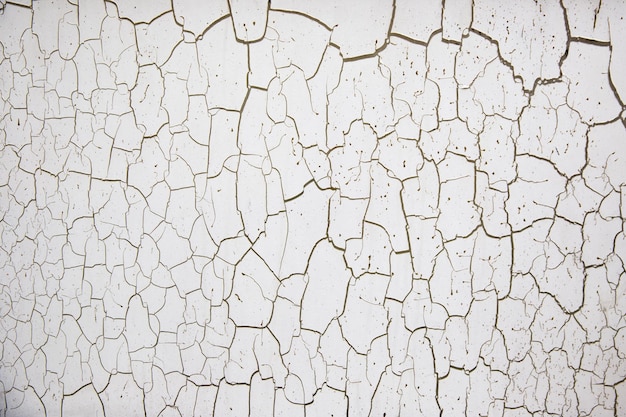 Dried and cracked paint on the window