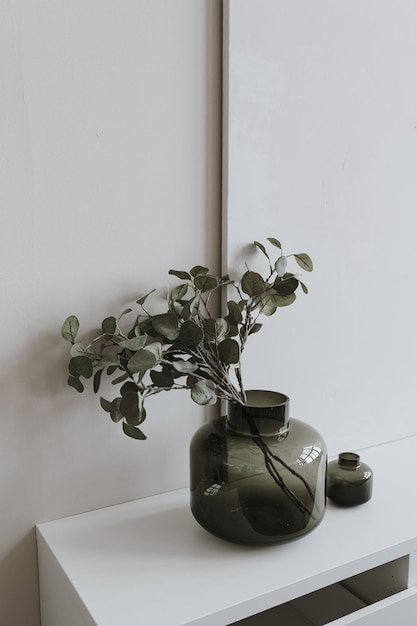 Dried eucalyptus leaves branch bouquet in glass vase on table against white wall Aesthetic minimalist home living room interior design decoration details Elegant luxury apartment decor