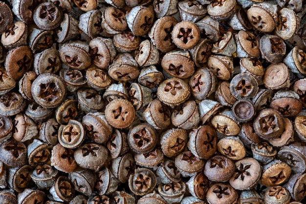 Dried eucalyptus seed pods