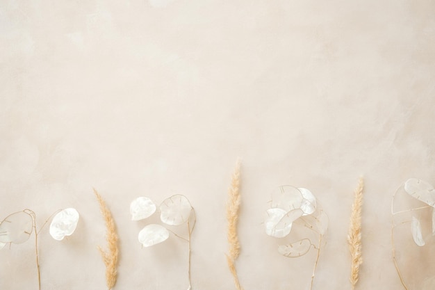 Dried flowers on pastel beige backdrop Minimalistic floral background copy space