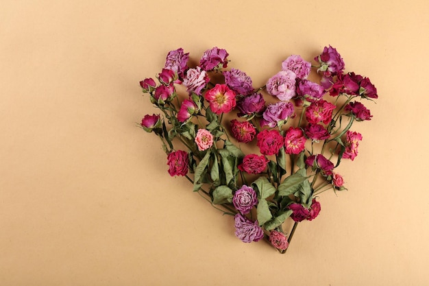 Photo dried flowers in shape of heart on color background