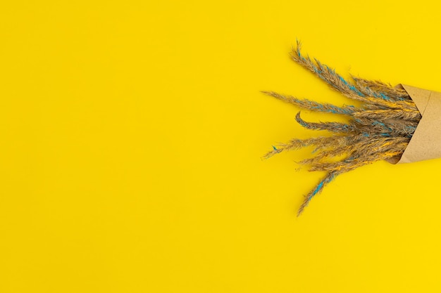 Dried flowers on a yellow background