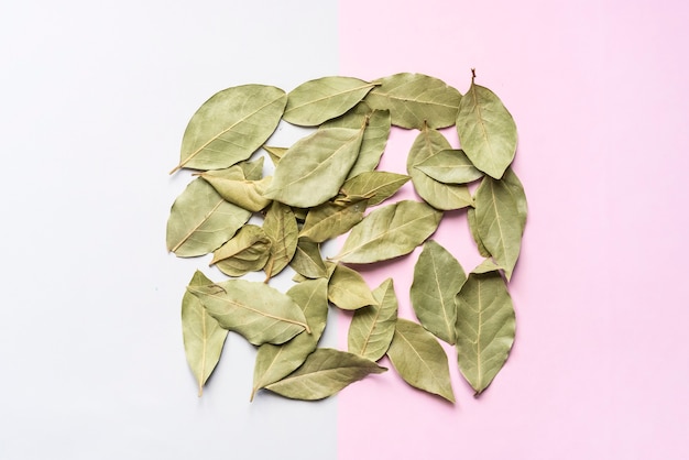 Dried green tea leaves on soft color background surface with a square frame  concept f