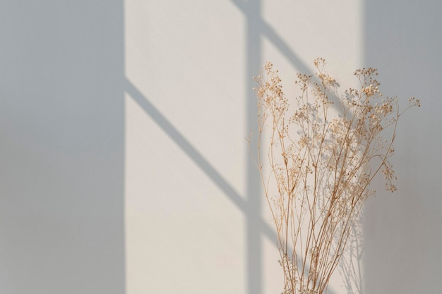 Dried gypsophila with window shadow on a beige wall