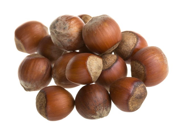 Dried hazelnuts