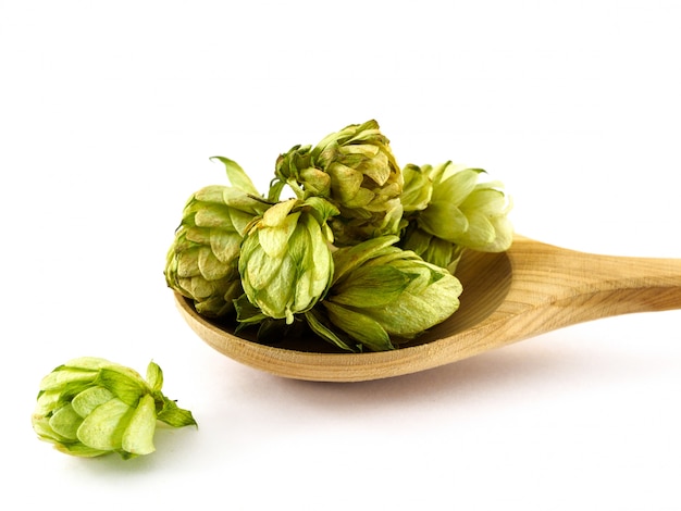 Dried hops lying in a wooden spoon