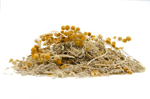 Dried isolated wormwood herb (Artemisia Absinthium).