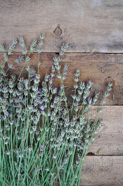 Dried lavender over white table