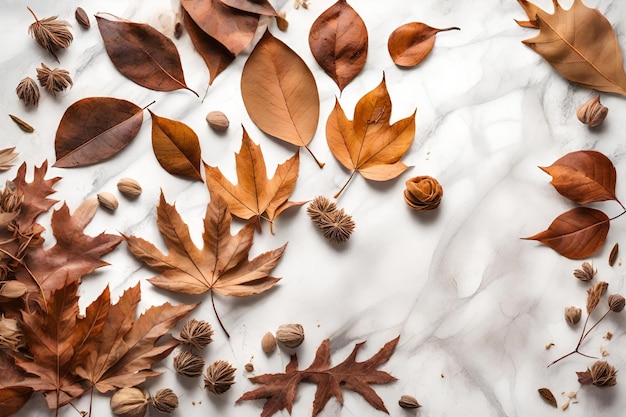 Dried leaves composition flat lay with free space for copy marble background