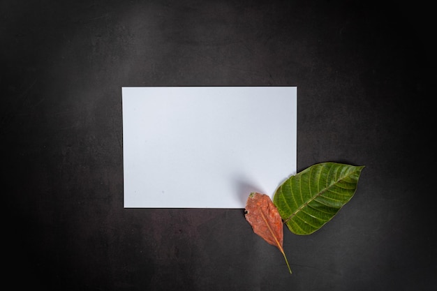 Dried leaves with a white note on black background