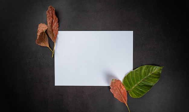 Dried leaves with a white note on black background