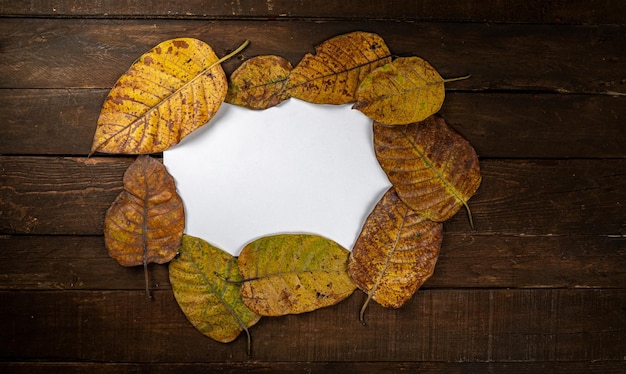 Dried leaves with a white note on dark wooden background