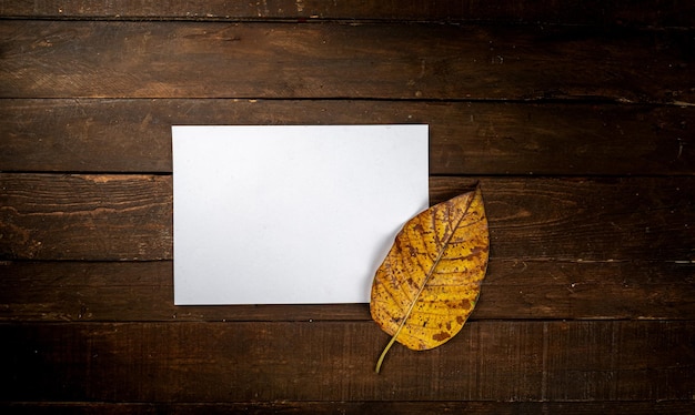 Dried leaves with a white note on dark wooden background