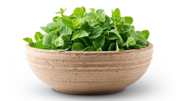 Dried Mexican Oregano Leaves in a Small Bowl on a White Background